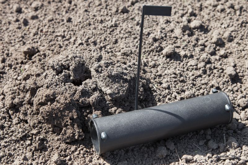 Moles In Your Yard: How Tunneling Damages Landscapes And Lawns