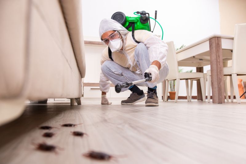 Products For Mole Extermination Service in use